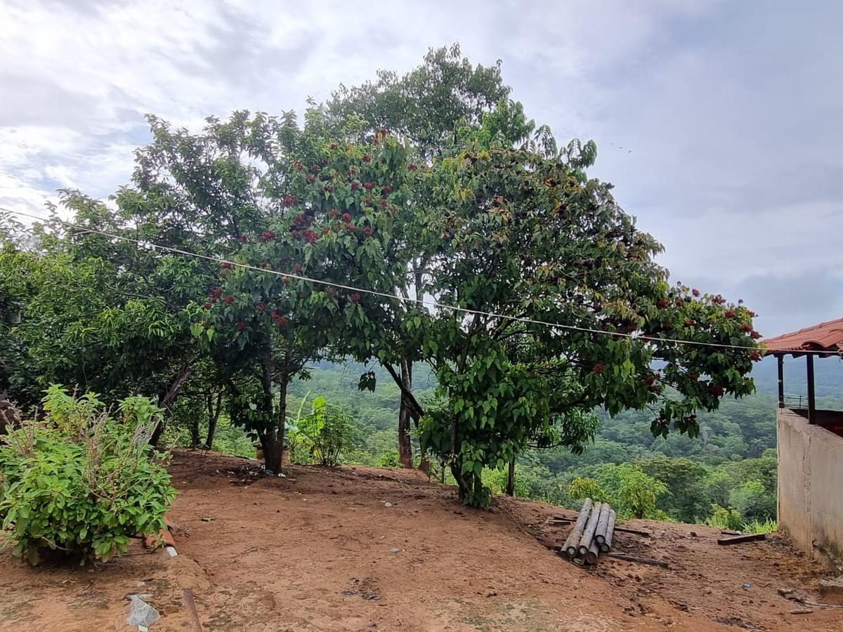 Fazenda, São José, 2 Quartos, 0 Vaga, 2 Suítes