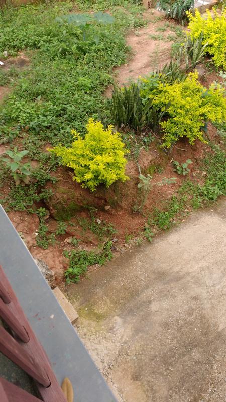 Casa, Marimbá, 3 Quartos, 2 Vagas, 1 Suíte