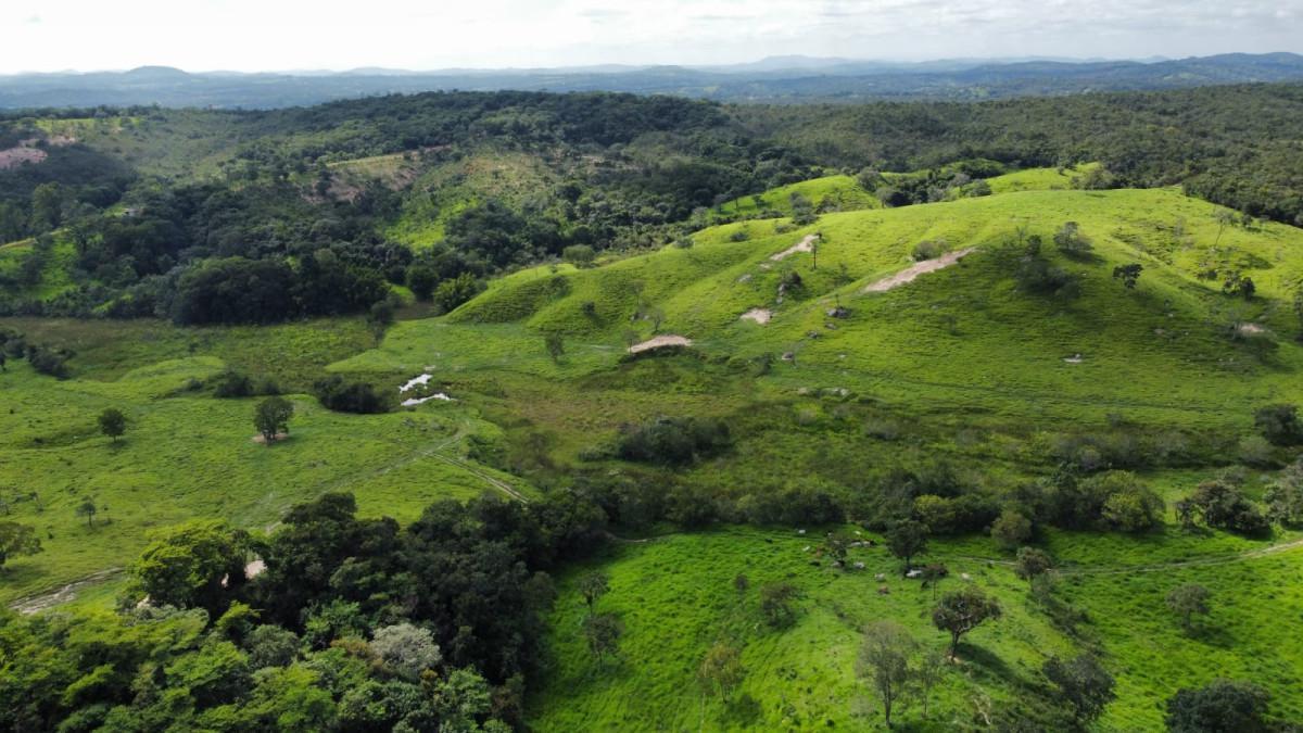 Fazenda, Centro, 0 Quarto, 0 Vaga