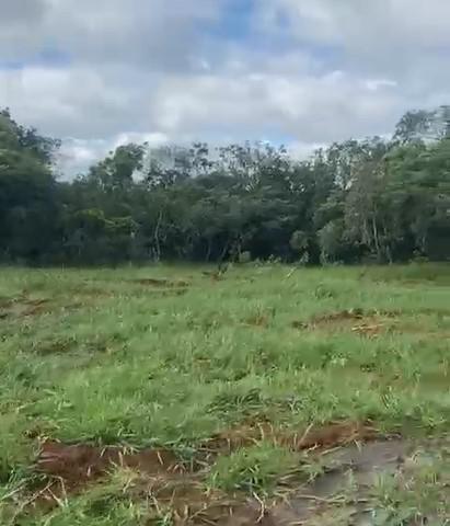 Fazenda, Zona Rural, 0 Quarto, 0 Vaga