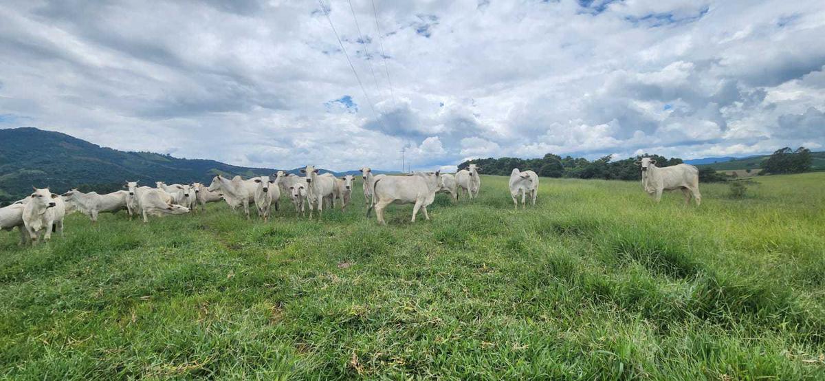 Fazenda, Zona Rural, 3 Quartos, 1 Vaga