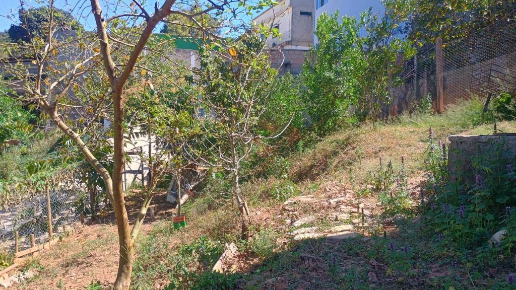 Lote, Adelmolândia, 0 Quarto, 0 Vaga