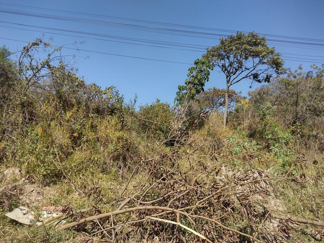 Lote, Chácara São Geraldo, 0 Quarto, 0 Vaga