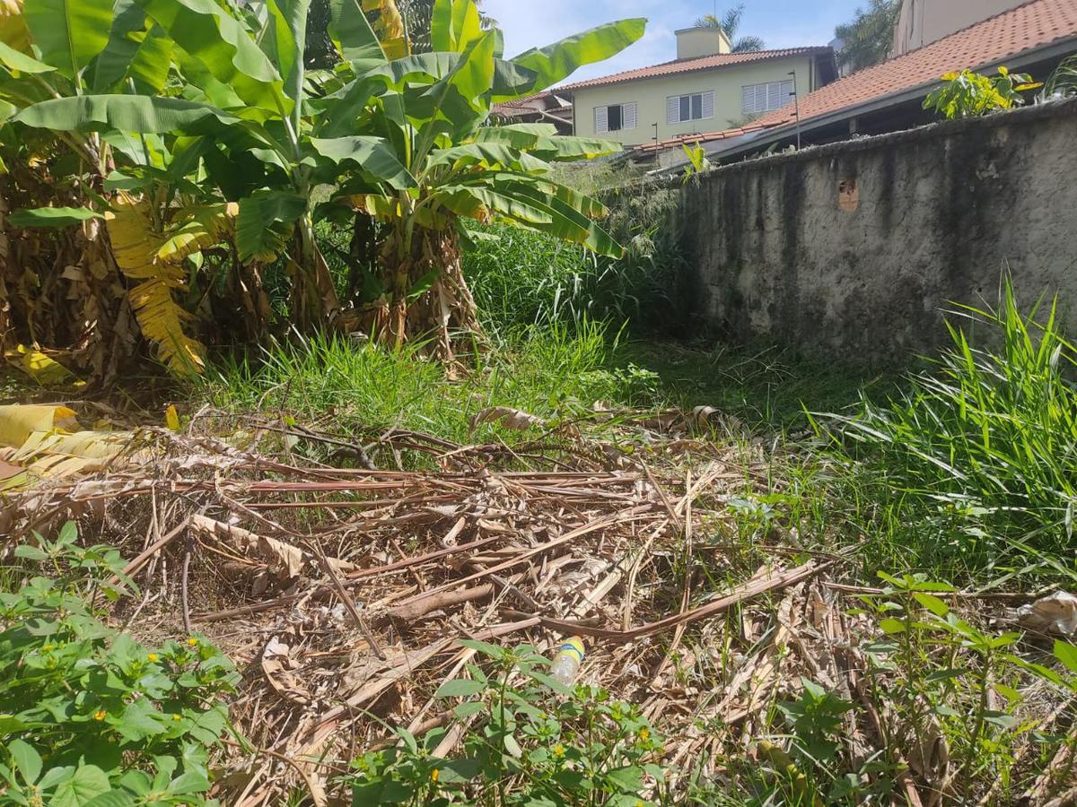 Lote, Palmares, 0 Quarto, 0 Vaga
