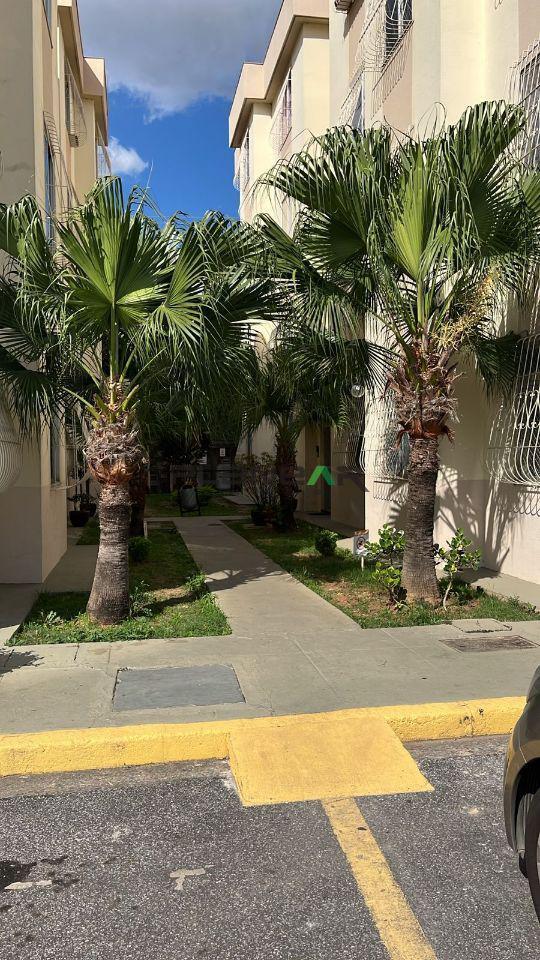 Apartamento, Amazonas, 3 Quartos, 1 Vaga