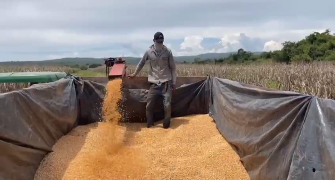 Fazenda, Zona Rural, 3 Quartos, 0 Vaga