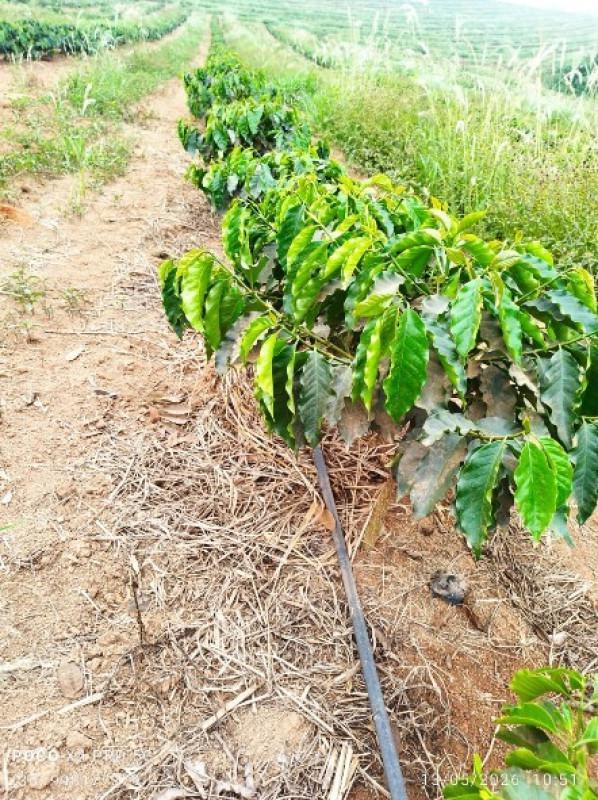 Fazenda, Zona Rural, 0 Quarto, 0 Vaga
