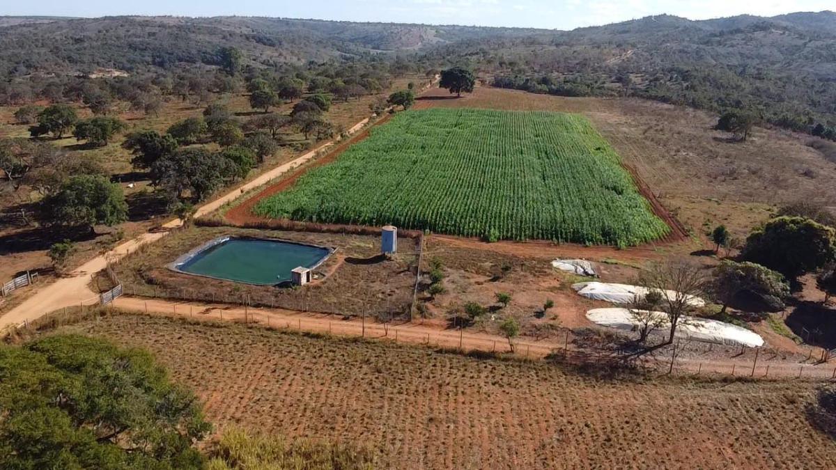 Fazenda, Centro, 3 Quartos, 0 Vaga