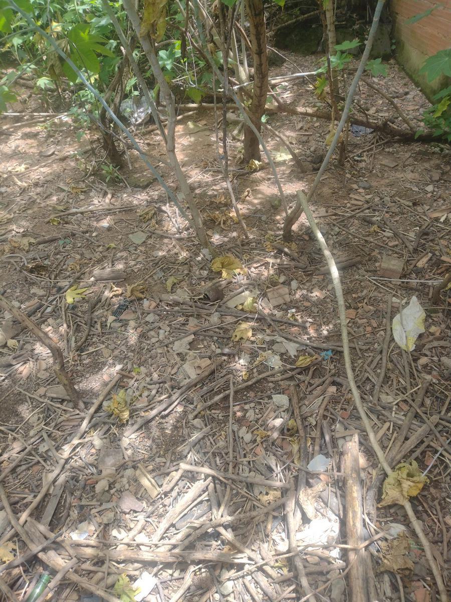 Lote, Colonial, 0 Quarto, 0 Vaga