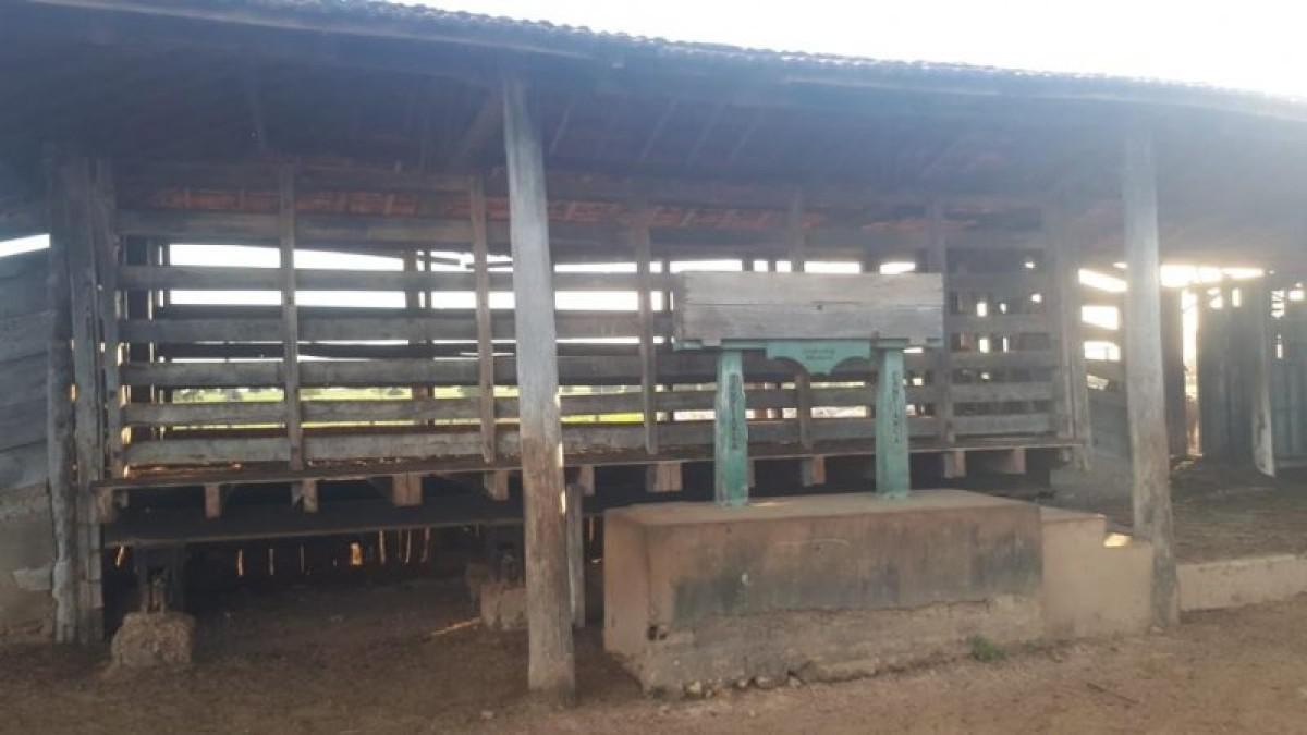 Fazenda, Centro, 0 Quarto, 0 Vaga