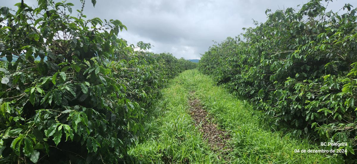 Fazenda, Centro, 2 Quartos, 1 Vaga, 1 Suíte