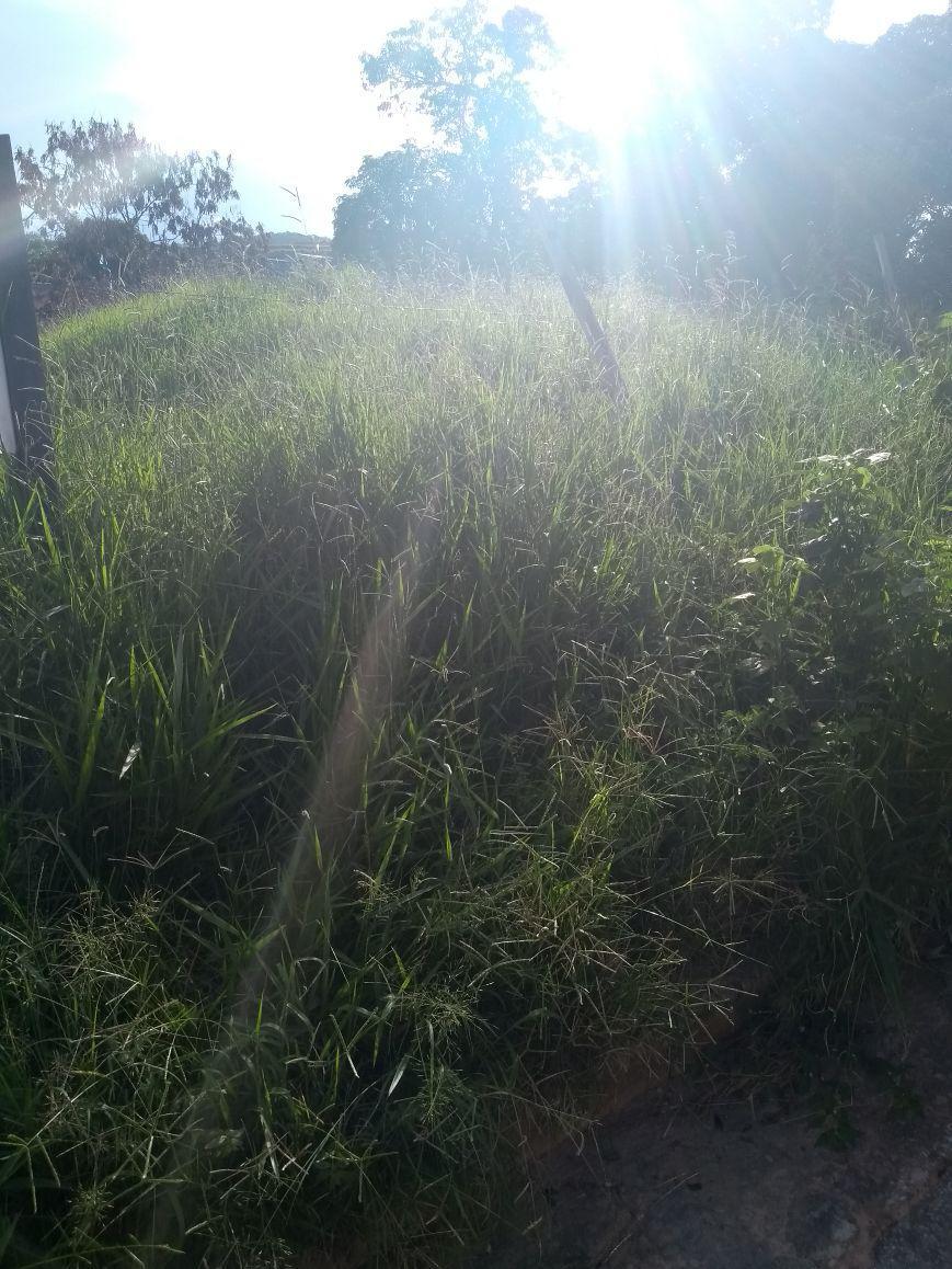 Lote, São João