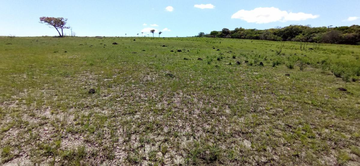 Fazenda, Zona Rural, 0 Quarto, 0 Vaga