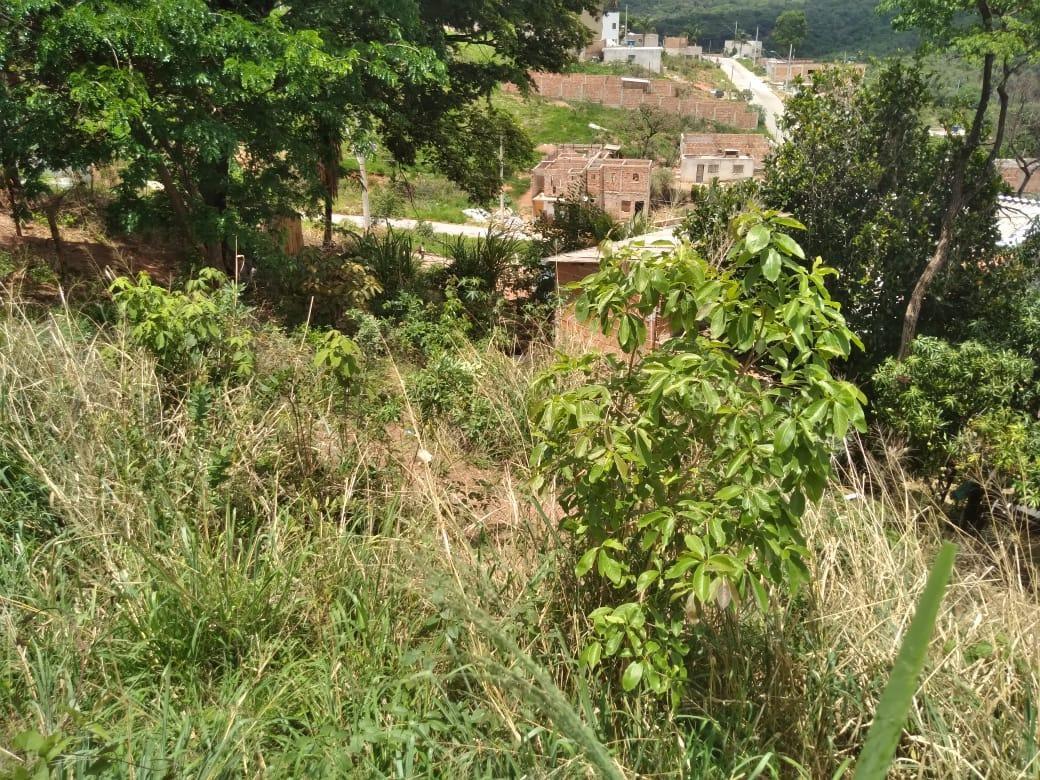 Lote, Novo Horizonte, 0 Quarto, 0 Vaga