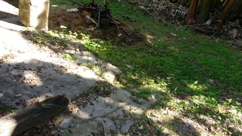 Lote, Alvorada, 0 Quarto, 0 Vaga