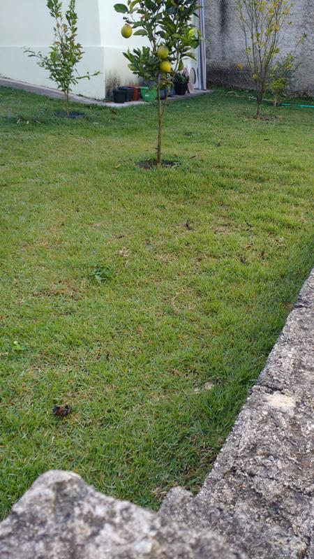 Casa, Chácara São Geraldo, 3 Quartos, 1 Vaga