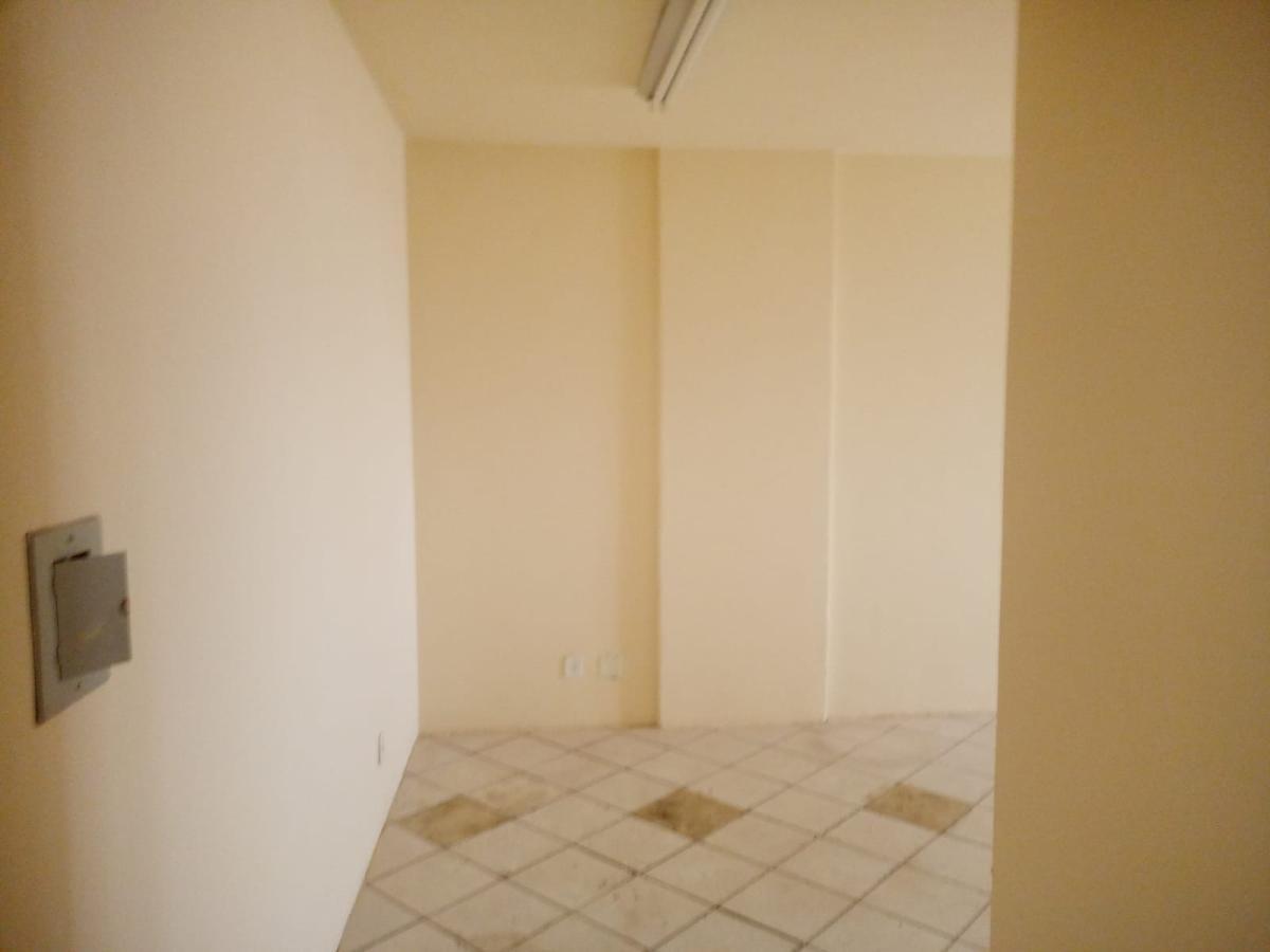 Sala, Floresta, 0 Quarto, 2 Vagas