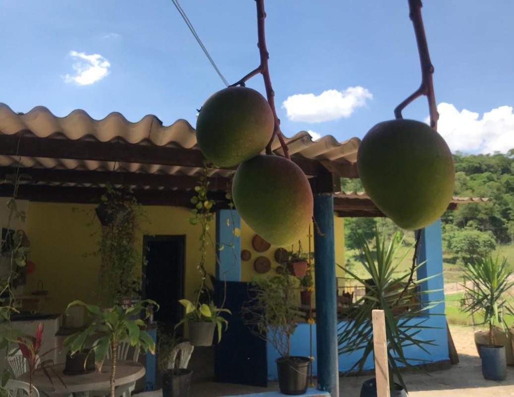 Lote, Bandeirinhas, 3 Quartos, 10 Vagas