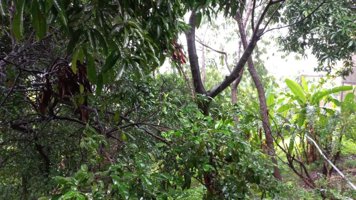 Casa, Jardim Alterosa, 4 Quartos, 2 Vagas, 1 Suíte