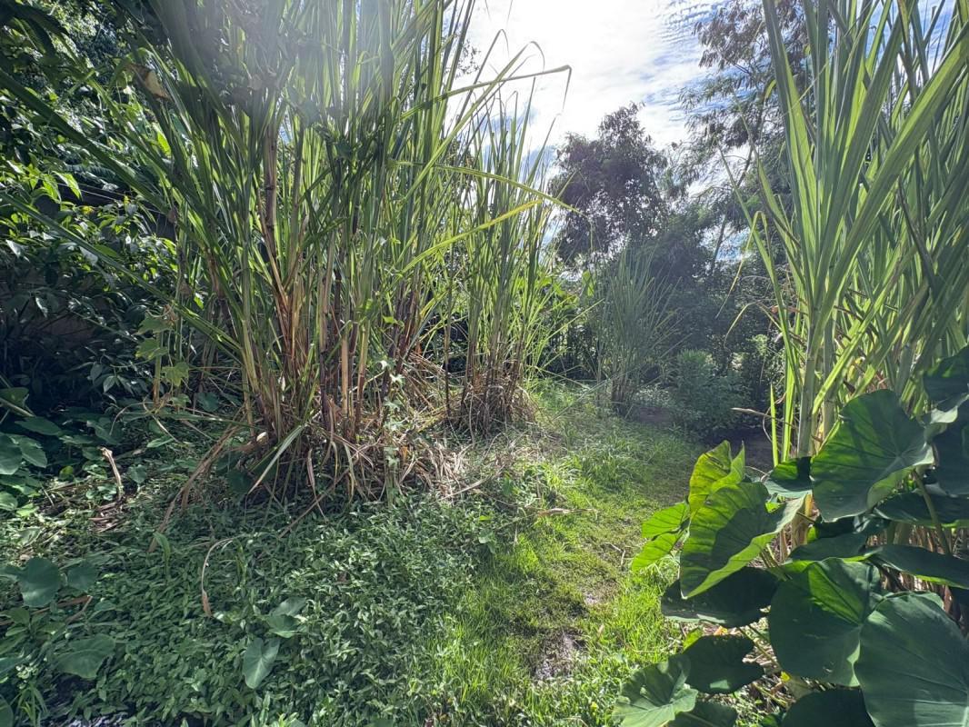 Fazenda, Bom Jardim, 0 Quarto, 0 Vaga
