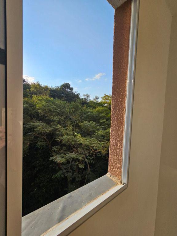 Apartamento, Borba Gato, 2 Quartos, 1 Vaga
