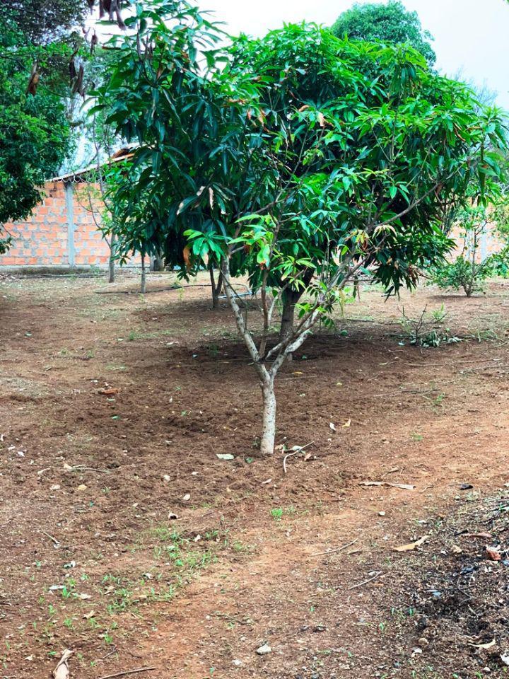 Fazenda, Inácia de Carvalho, 5 Quartos, 20 Vagas, 5 Suítes