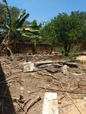 Lote, Rosaneves, 0 Quarto, 0 Vaga