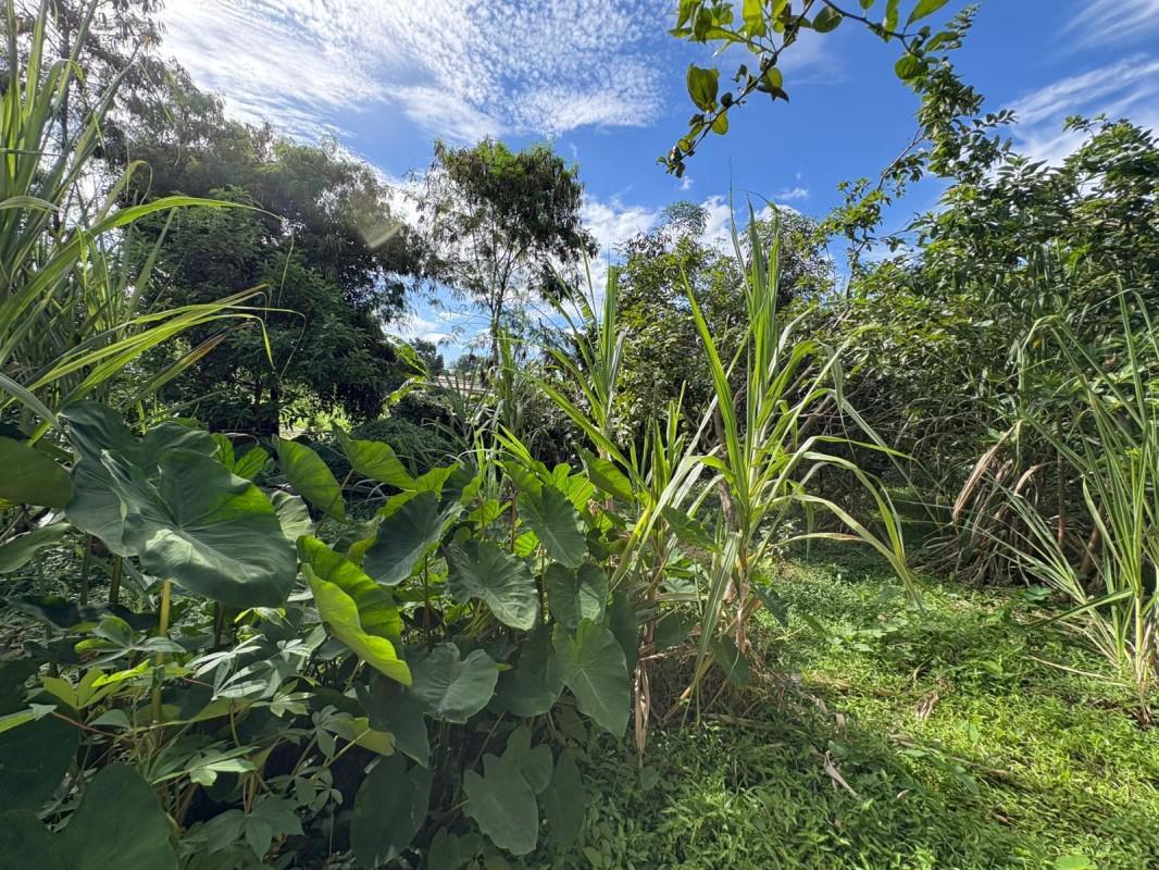 Fazenda, Bom Jardim, 0 Quarto, 0 Vaga