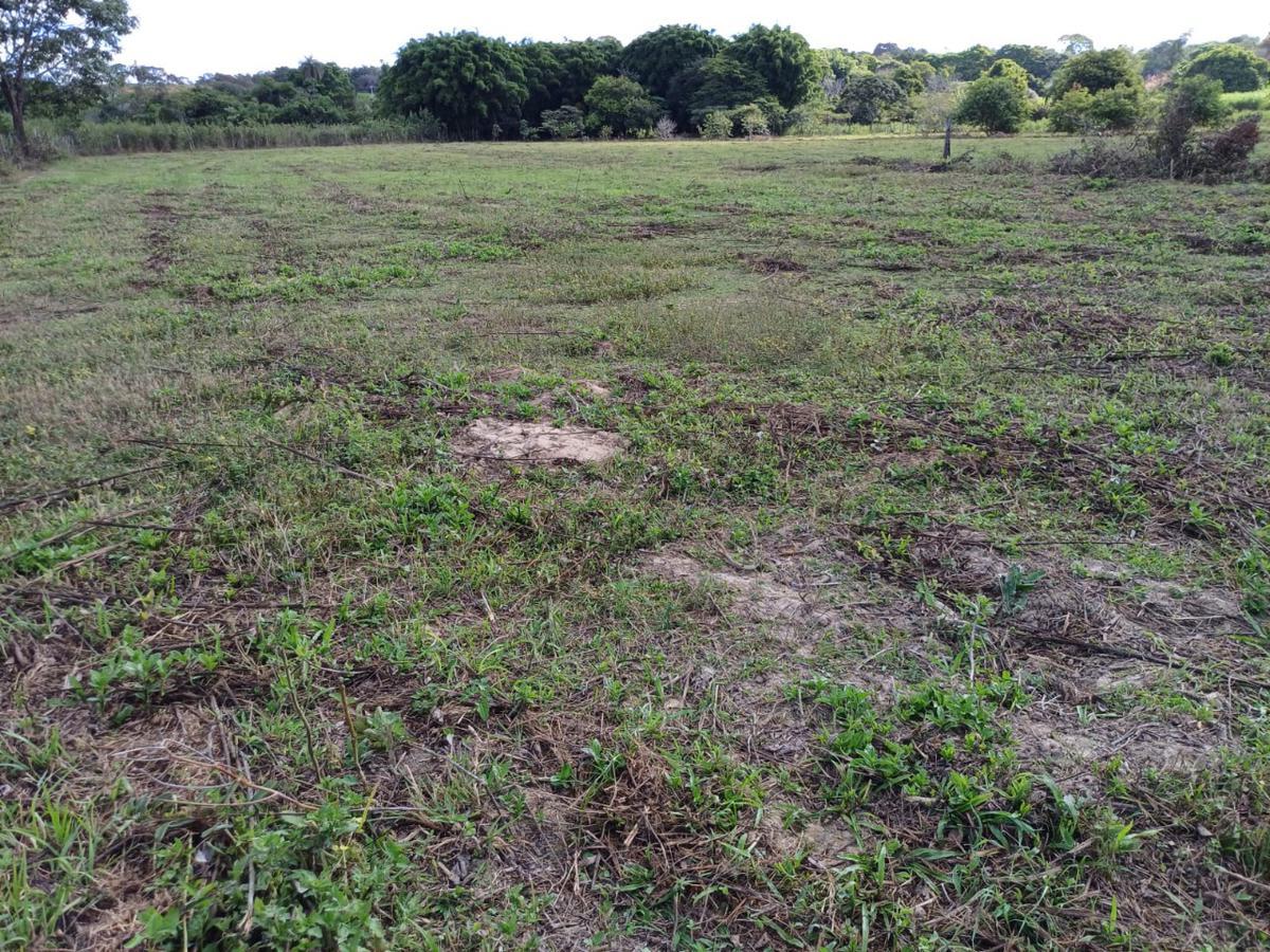 Fazenda, Centro, 3 Quartos, 10 Vagas