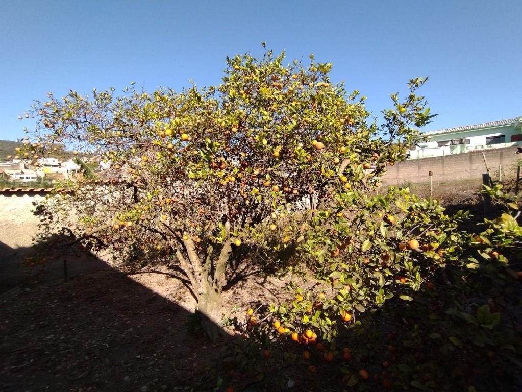 Lote, Pedra Branca, 0 Quarto, 0 Vaga
