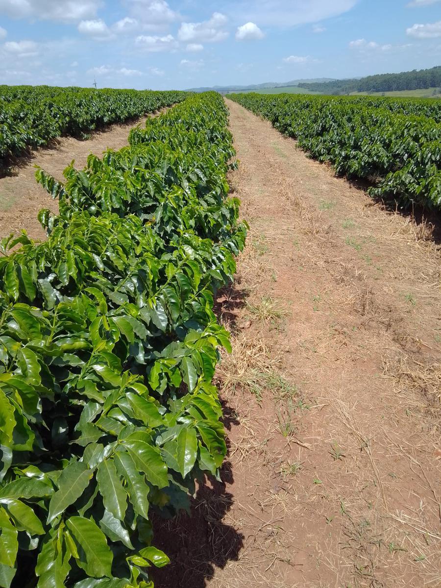 Fazenda, Zona Rural, 4 Quartos, 0 Vaga