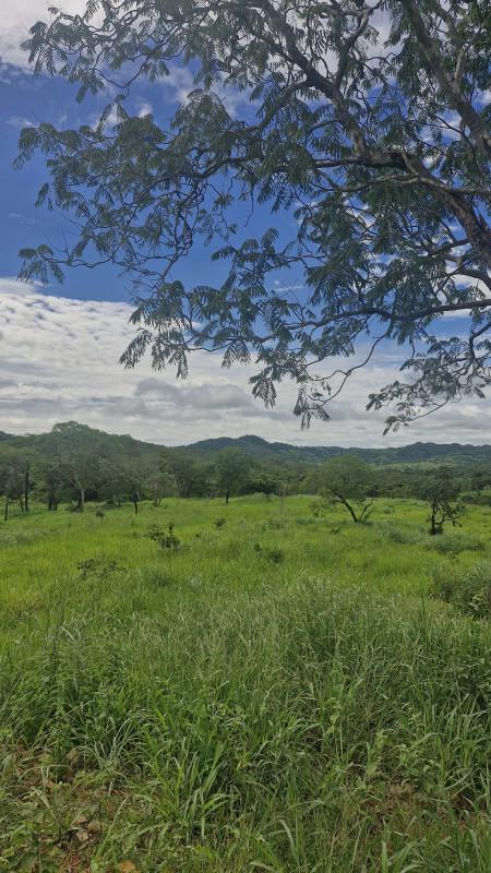 Fazenda, Centro, 0 Quarto, 0 Vaga