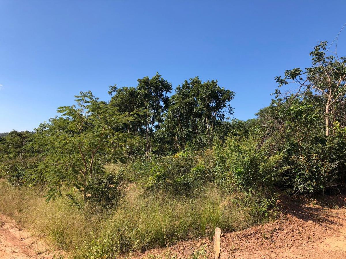 Lote, Zona Rural, 0 Quarto, 0 Vaga