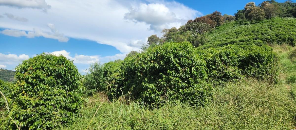 Fazenda, Zona Rural, 1 Quarto, 0 Vaga