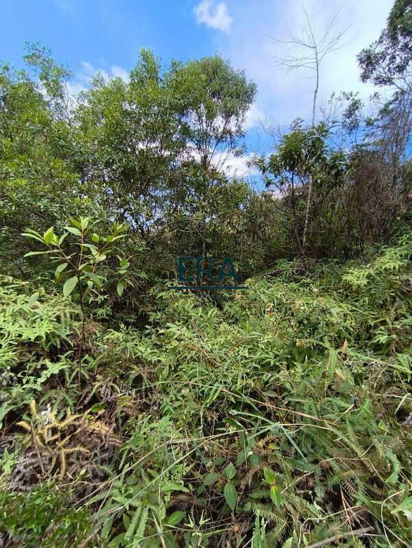 Lote, Parque do Engenho, 0 Quarto, 0 Vaga