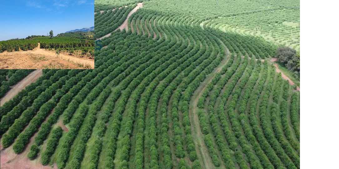 Fazenda, Zona Rural, 1 Quarto, 0 Vaga