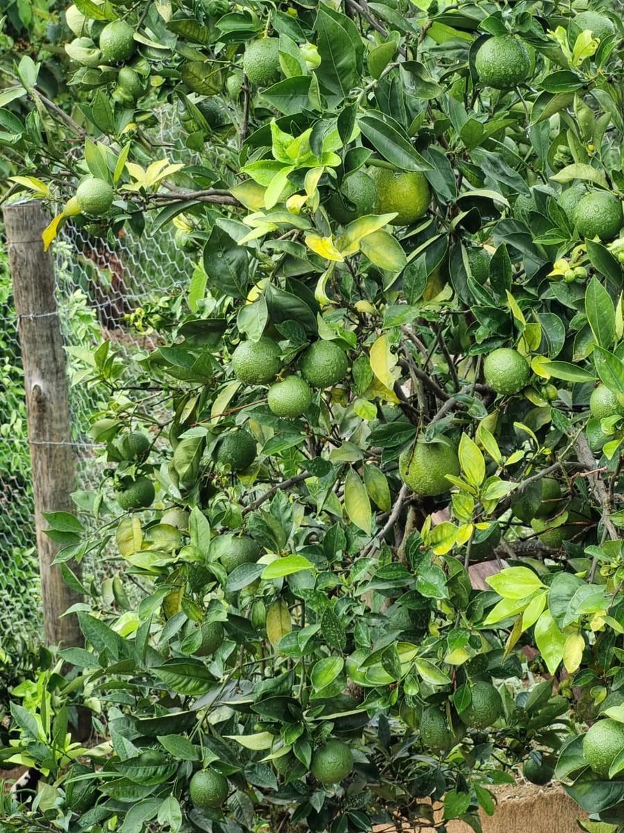 Fazenda, São José, 2 Quartos, 0 Vaga, 2 Suítes