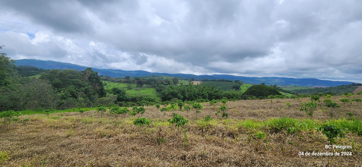 Fazenda, Centro, 2 Quartos, 1 Vaga, 1 Suíte