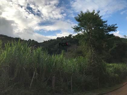 Lote, Nacional, 0 Quarto, 0 Vaga
