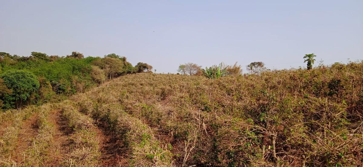 Fazenda, Zona Rural, 0 Quarto, 0 Vaga