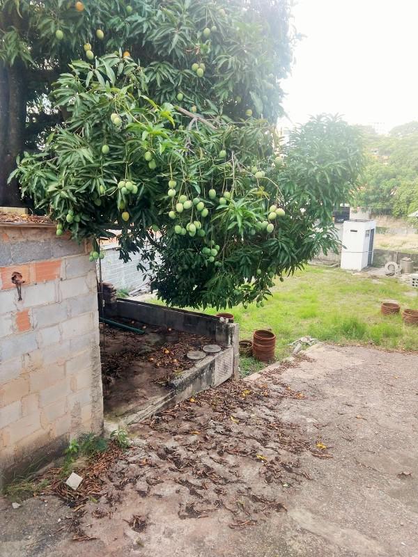 Galpão, Betânia, 1 Quarto, 40 Vagas
