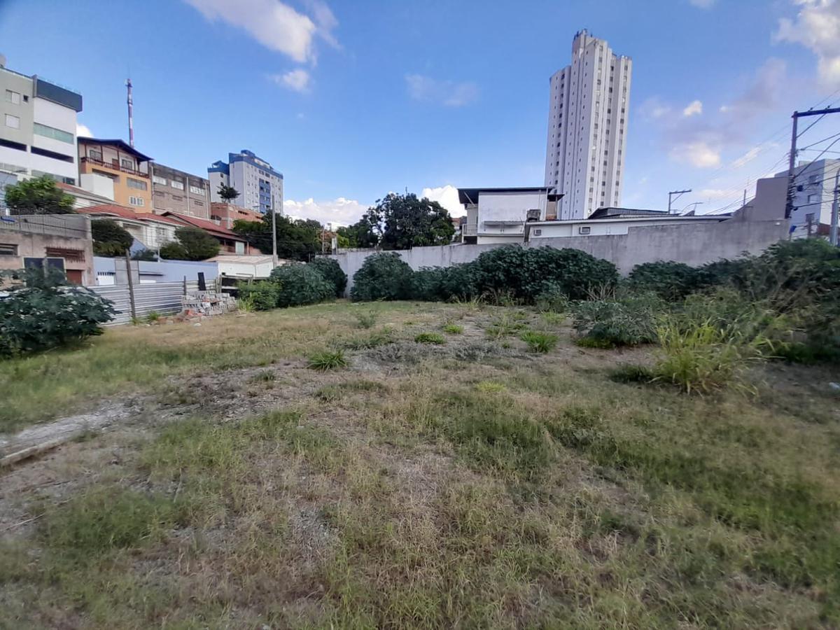 Lote, Floresta, 0 Quarto, 0 Vaga