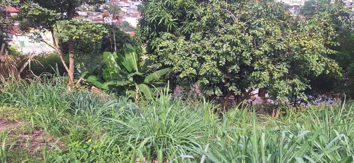 Lote, Centro, 0 Quarto, 0 Vaga