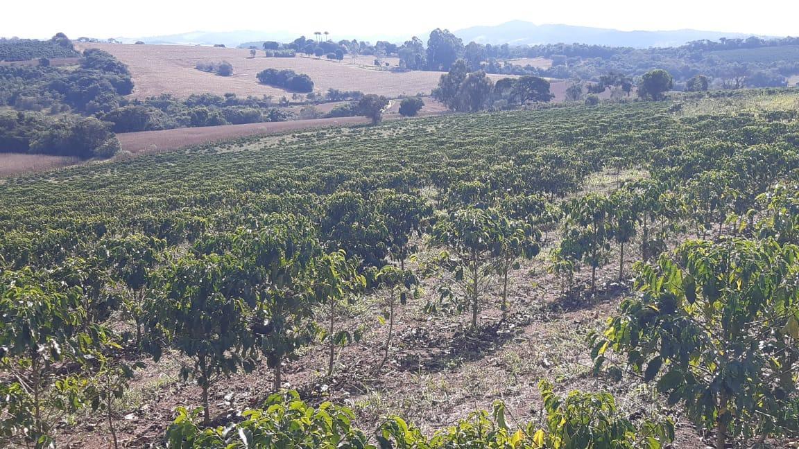 Fazenda, Centro, 3 Quartos, 1 Vaga