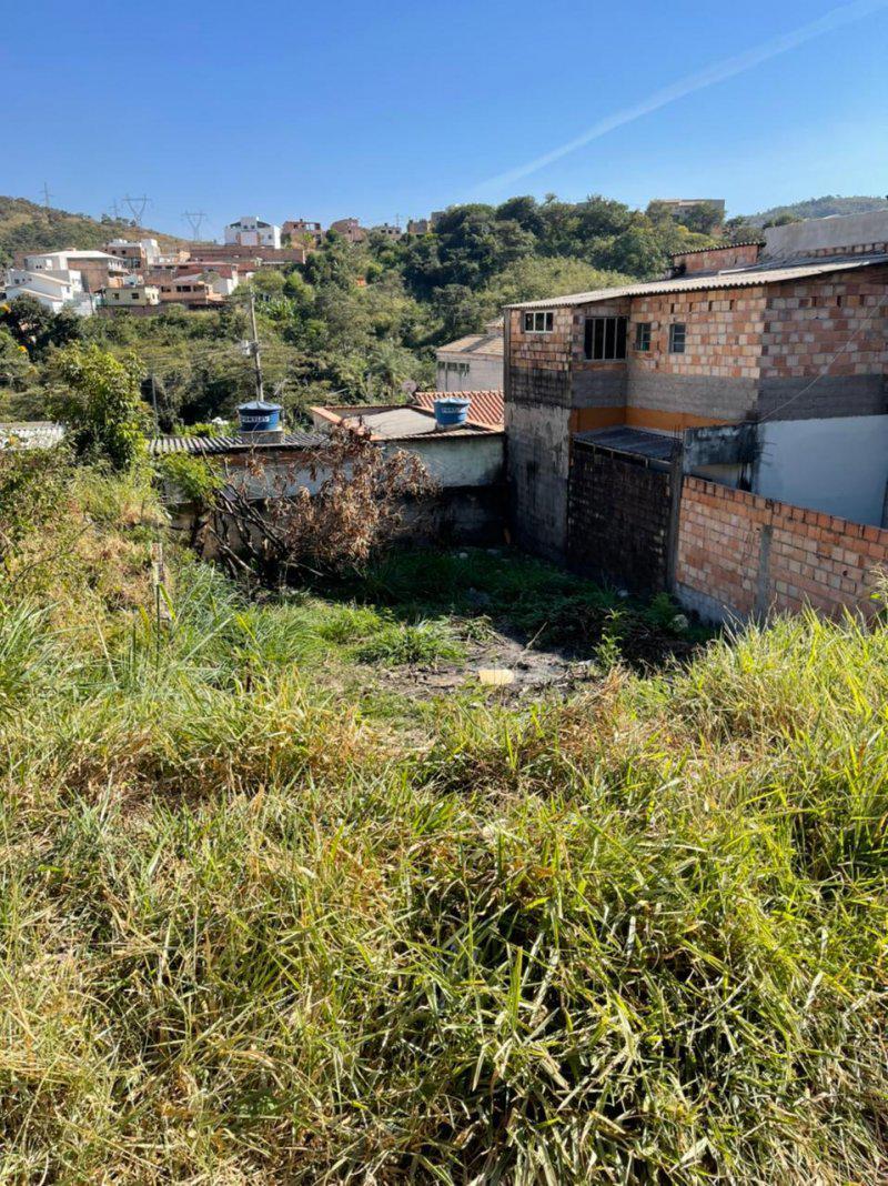 Lote, Palmeiras, 0 Quarto, 0 Vaga