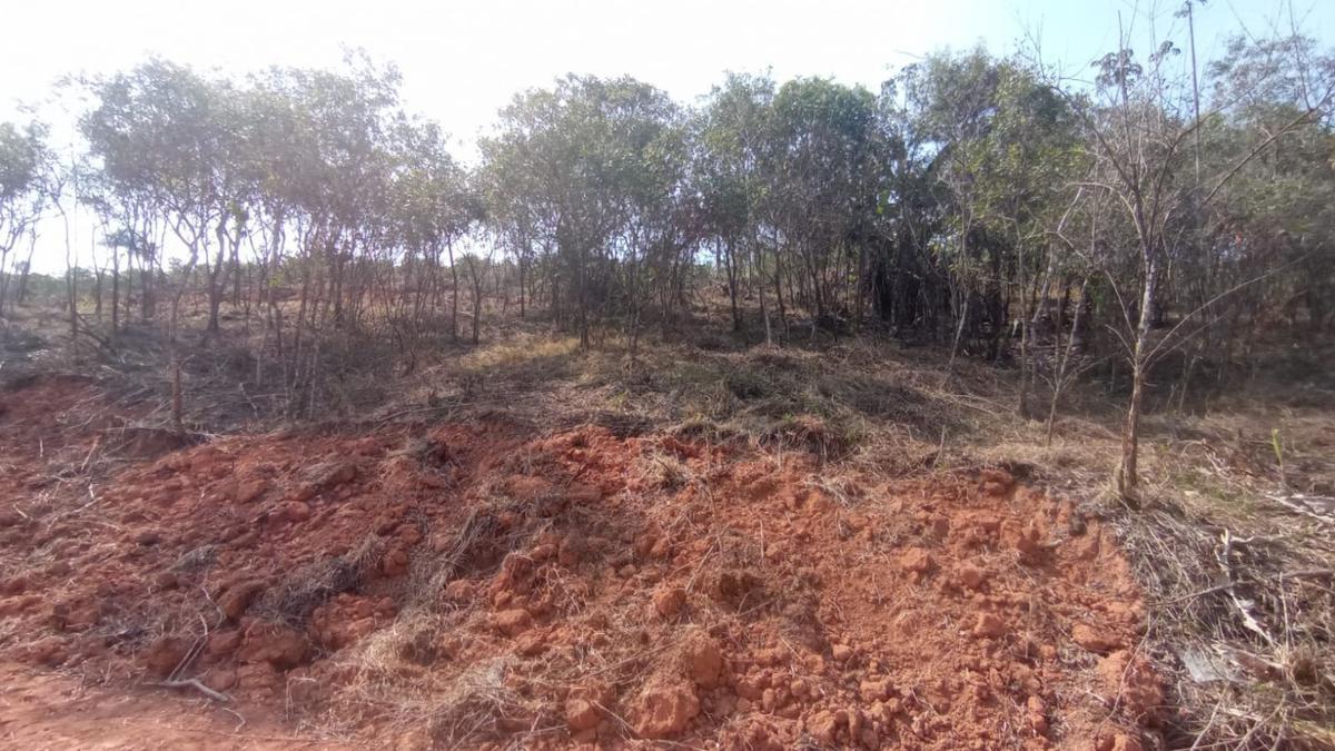 Fazenda, Zona Rural, 0 Quarto, 0 Vaga