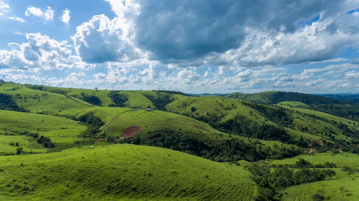 Fazenda, Centro, 1 Quarto, 1 Vaga