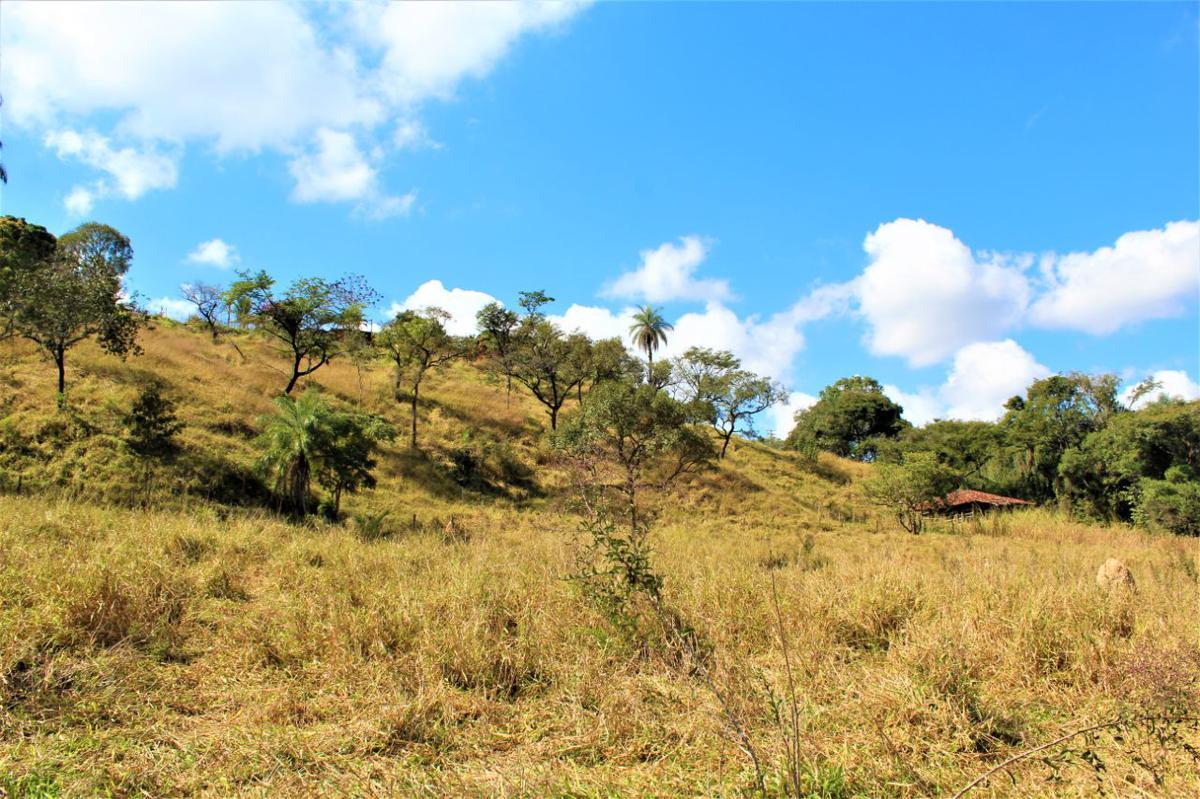 Fazenda, Zona Rural, 4 Quartos, 15 Vagas, 1 Suíte