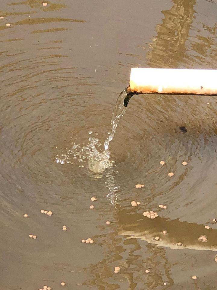 Sítio, Zona Rural, 2 Quartos