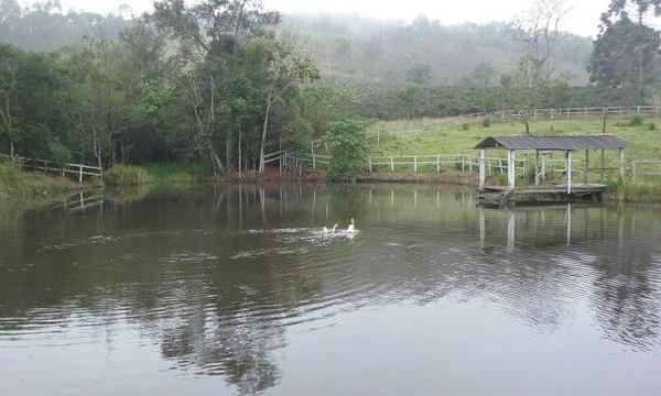 Lote, Zona Rural